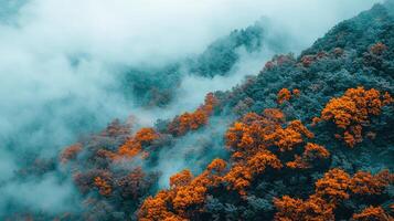 Misty Mountain Forest Landscape Autumn Colors and Foggy Peaks photo