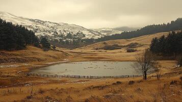 Serene Mountain Lake Landscape with Snow Capped Peaks and Golden Grasslands photo