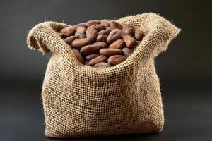 Burlap sack overflowing with aromatic cocoa beans on dark background photo
