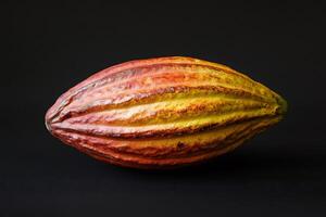 Ripe cocoa pod resting on a dark background photo