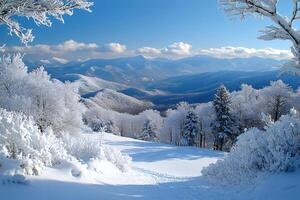 Snow covered trees and mountains creating stunning winter landscape photo