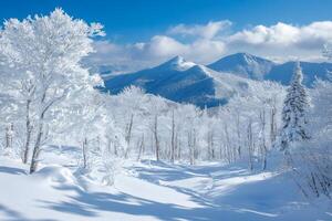 Snow covered trees and mountains creating stunning winter wonderland photo