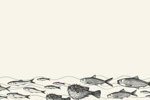 Banner for text with engraved Fugu fish, Anchovy, fingerling, carp, sardine. Hand drawn fished border background with sea animals. Seafood, delicacy, marine life, animals. For label, menu, card vector