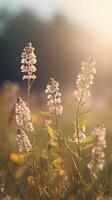 Wildflowers in gentle sunlight create a vertical shot, with unobstructed background space perfect for text or graphics. photo
