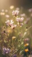 A vertical image of wildflowers illuminated by soft sunlight, with clear areas in the background for text or graphic elements. photo