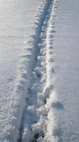 A calm vertical image of snow tracks in freshly fallen snow, offering clear areas for design or text placement. photo