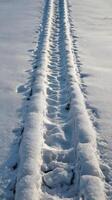 The serene vertical capture of tracks in untouched snow provides ample space for adding overlays or creative designs. photo