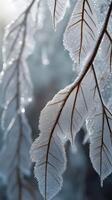 A vertical layout of detailed frost patterns on softly lit glass, leaving generous areas for overlaying designs. photo