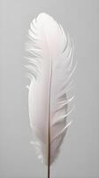 A tranquil vertical macro photo featuring the intricate patterns of feathers with a clean background for text.
