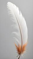 A serene vertical macro capture of finely detailed feathers, set against a plain background offering ample space for copy. photo