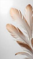 Vertical macro photo of soft feathers with intricate details and a blank background area for copy.