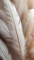 A vertical macro shot of delicate feathers, showcasing fine details against a blank background ideal for copy space. photo