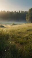 A tranquil vertical view of a quiet meadow in the early morning, with gentle light and an expansive sky perfect for copy placement. photo