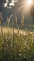 A vertical shot of a quiet meadow in the early morning, with soft hazy light and open sky for copy placement. photo