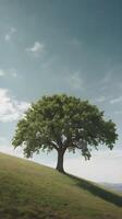 A quiet vertical scene of a single tree on a gentle hill, surrounded by a blank sky ideal for text overlays. photo