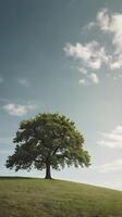 A minimalist vertical frame of a lone tree atop a soft hill, with a vast, blank sky for adding text. photo