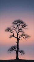 A vertical image of a lone tree silhouette set against a twilight sky with a gradient, leaving plenty of space at the top for text. photo