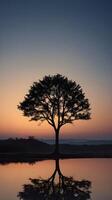 A vertical shot of a solitary tree silhouette against a gradient twilight sky, with plenty of space for text at the top. photo