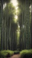 A vertical view of a serene bamboo grove with delicate stalks reaching up, soft green tones, and space for text overlays. photo