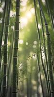 A vertical capture of bamboo stalks in a peaceful grove, gently rising with soft green hues and empty space for copy. photo