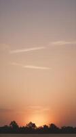 A vertical composition of a subtle sunset, with gentle warm tones transitioning into a smooth, empty sky for text placement. photo