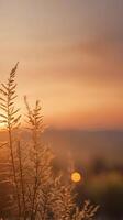 A vertical shot of a soft sunset with warm tones fading into a calm, open sky, leaving space for text. photo