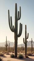 A vertical photo of tall cacti standing in a quiet desert landscape, warm light, and clear sky for text placement.