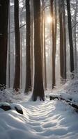 A serene vertical view of snow-dusted tree trunks in a dense forest, soft light shining through, and clear space for copy. photo