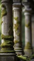 A high-detail vertical image of aged stone columns with mossy surfaces, gently lit, offering plenty of room for text placement. photo