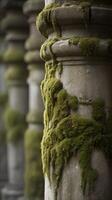 A vertical composition of ancient stone columns with mossy textures, illuminated by soft light, and clear space for copy. photo