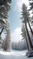 A vertical view of snow-covered pine tree tops, glowing gently in soft light, with a wide sky area for text. photo