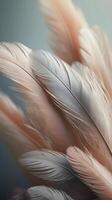 Close-up capture of gently layered feathers in a vertical frame, with soft colors and blank areas for text. photo