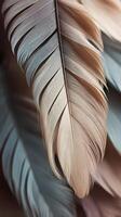 Close-up vertical photo of soft feather textures in muted colors, with blurred areas for text placement.