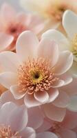 A close-up vertical shot of pastel flower petals arranged in soft focus, with space along the edges for text. photo