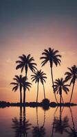 A minimalist vertical view of palm tree shadows against a calm, fading sky, perfect for text or design use. photo