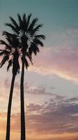 Silhouetted palm trees rise vertically against a pastel twilight backdrop, with generous negative space for copy placement. photo