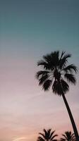 A peaceful vertical shot of palm tree outlines framed by a soft evening sky, with clear areas for text overlays. photo