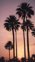 Vertical silhouettes of palm trees against a soft twilight sky, with open areas for text placement. photo