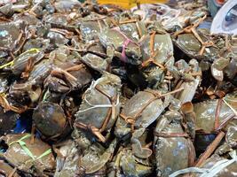 A Bountiful Pile of Freshly Caught Crabs Tied with Straw at a Bustling Market photo
