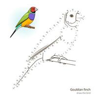 Gouldian finch learn birds educational game learn to draw illustration vector