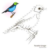 Paradise tanager learn birds educational game learn to draw illustration vector