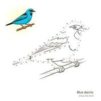 Blue dacnis learn birds educational game learn to draw illustration vector