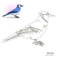 Blue jay learn birds educational game learn to draw illustration vector