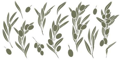hand drawn collection of olive branches silhouette with fruits and leaves. Minimalist style in olive green color. Perfect for logos, packaging, menu, prints, and decorative purposes vector