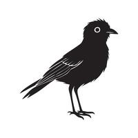 A Black Bird in Profile vector