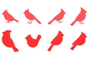 Simple Cardinal Illustration vector