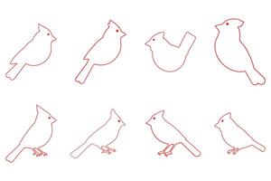 Outline Cardinal Illustration vector