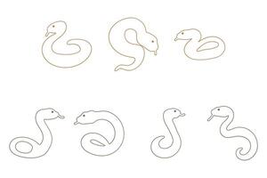 Outline Boa Snake Illustration vector