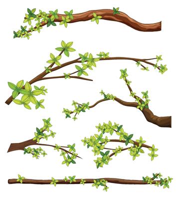 The new Set tree branches. Illustration of a tree branch