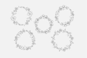 Set of Jasmine Line Art Laurel Wreath vector